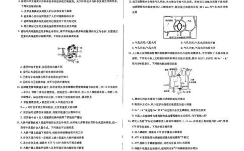 生物试题大联考_1多考区联考试卷_1217天一大联考2024-2025学年高一年级12月阶段性测试（二）_河南省名校大联考2024-2025学年高一上学期12月月考生物试题