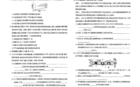 生物试题大联考_1多考区联考试卷_1217天一大联考2024-2025学年高一年级12月阶段性测试（二）_河南省名校大联考2024-2025学年高一上学期12月月考生物试题