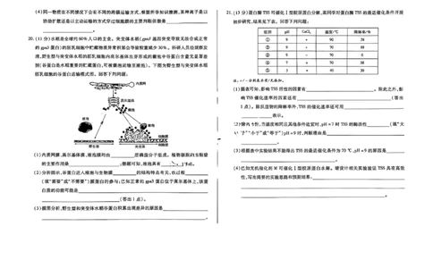 生物试题大联考_1多考区联考试卷_1217天一大联考2024-2025学年高一年级12月阶段性测试（二）_河南省名校大联考2024-2025学年高一上学期12月月考生物试题