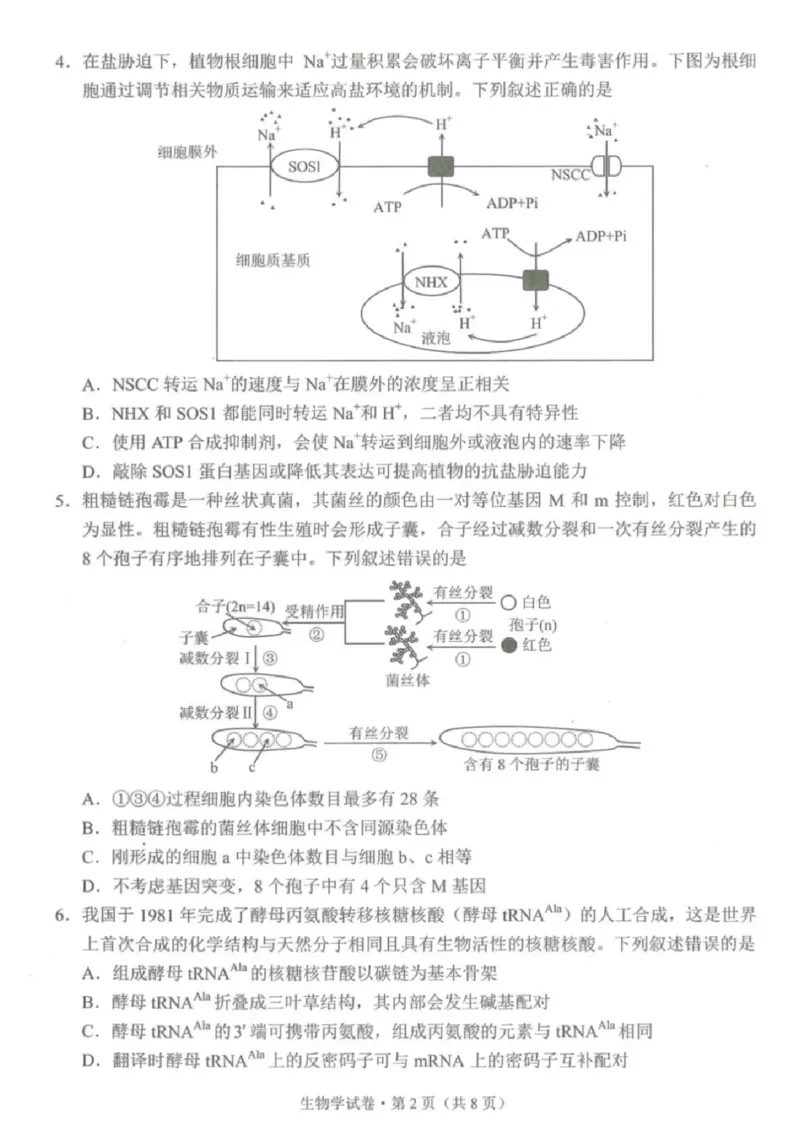 云南省昆明市2025届&ldquo;三诊一模&rdquo;高三复习教学质量检测生物_2025年3月_250328云南省昆明市2025届&ldquo;三诊一模&rdquo;高三复习教学质量检测（全科）