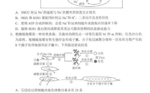 云南省昆明市2025届&ldquo;三诊一模&rdquo;高三复习教学质量检测生物_2025年3月_250328云南省昆明市2025届&ldquo;三诊一模&rdquo;高三复习教学质量检测（全科）