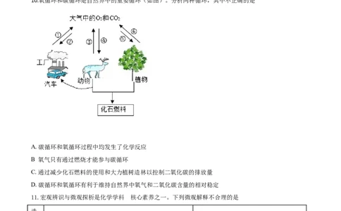 精品解析：山东省东营市2020年中考化学试题（原卷版）_中考真题_5.化学中考真题2015-2024年_2020中考化学真题（113份）_2020年中考真题精品解析化学（山东东营卷）精编word版