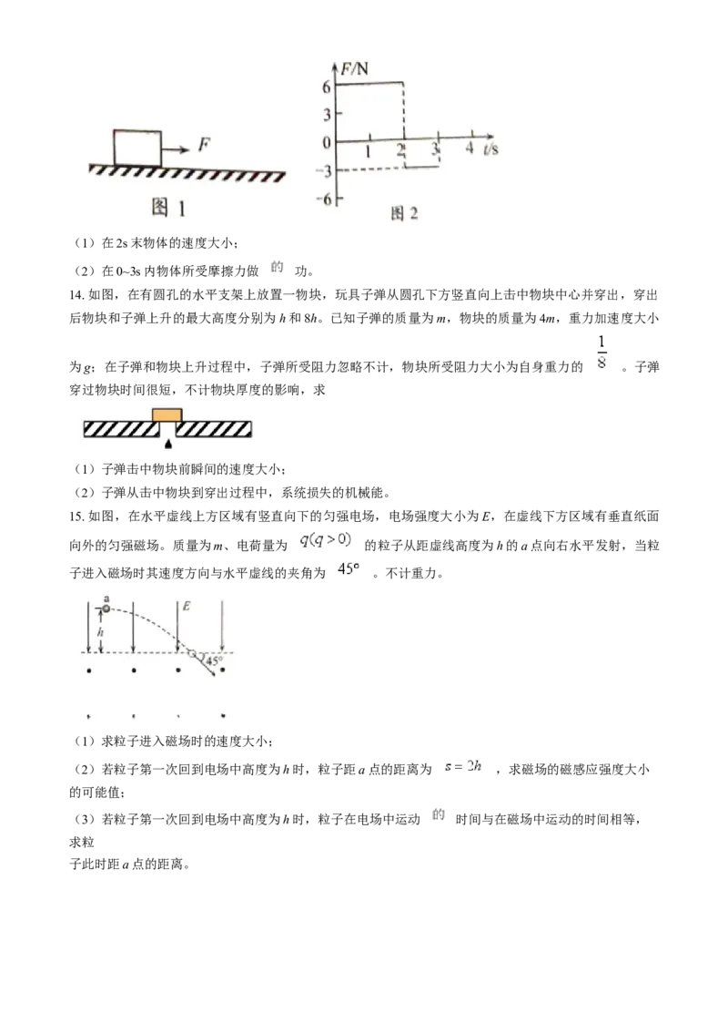 2025年1月河南省普通高等学校招生考试适应性测试（八省联考）物理试题Word版无答案_2025年1月_❤2025年高考综合改革适应性演练（八省联考）(1)