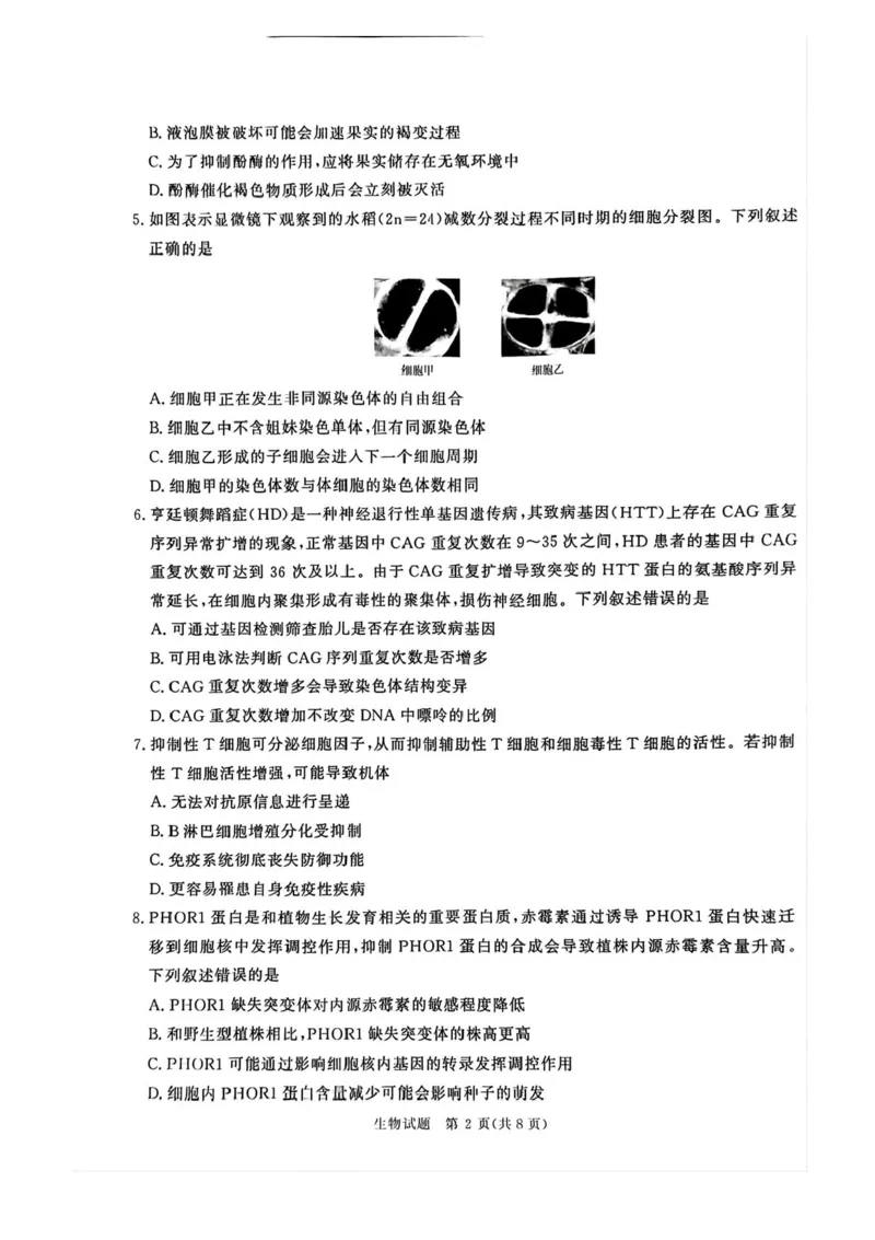 2025届河南省青桐鸣高三4月大联考生物试题+答案_2025年4月_2504172025届河南省青桐鸣高三4月大联考（全科）