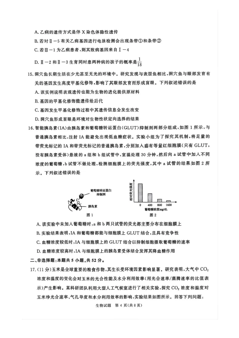2025届河南省青桐鸣高三4月大联考生物试题+答案_2025年4月_2504172025届河南省青桐鸣高三4月大联考（全科）
