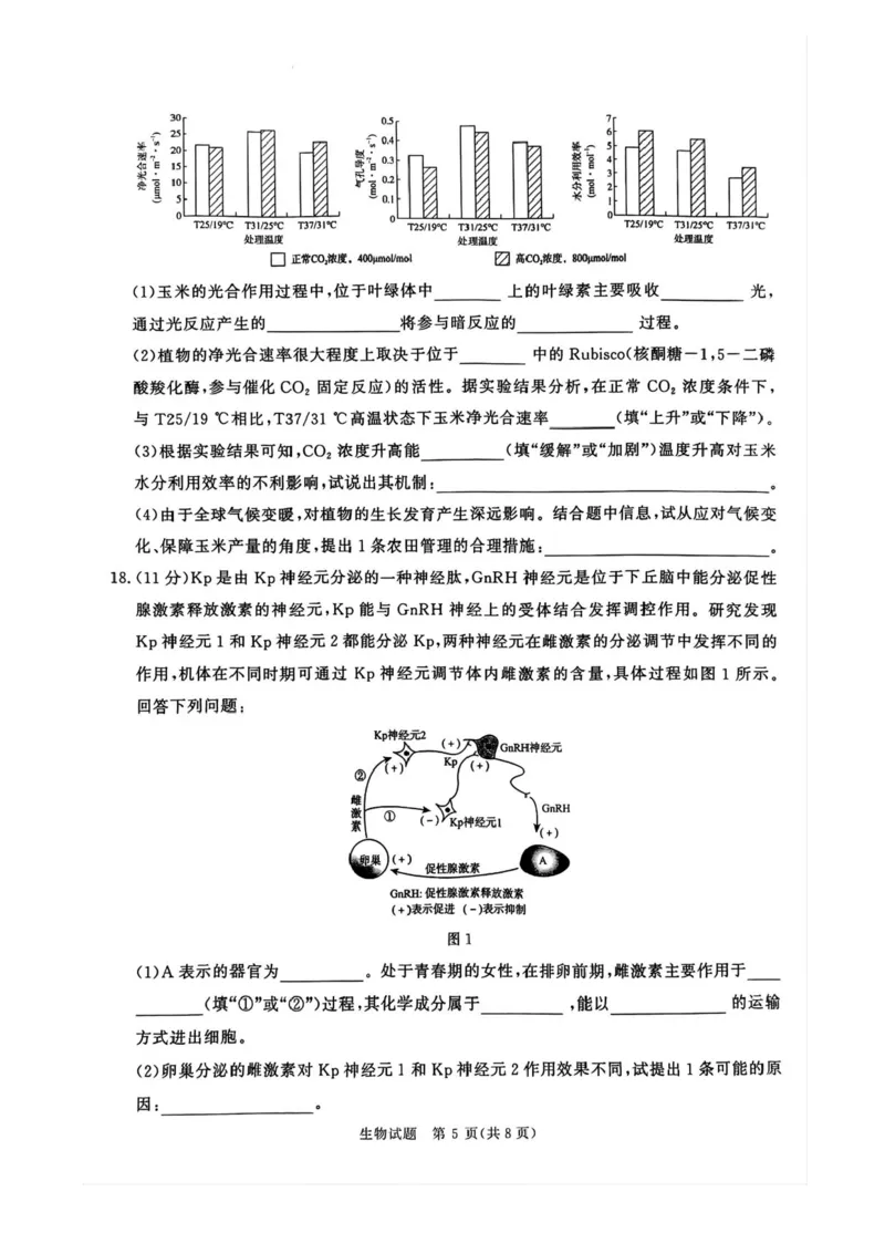 2025届河南省青桐鸣高三4月大联考生物试题+答案_2025年4月_2504172025届河南省青桐鸣高三4月大联考（全科）