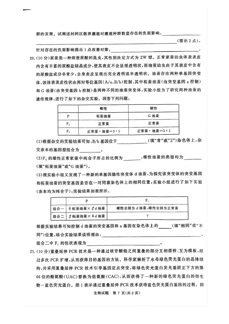 2025届河南省青桐鸣高三4月大联考生物试题+答案_2025年4月_2504172025届河南省青桐鸣高三4月大联考（全科）