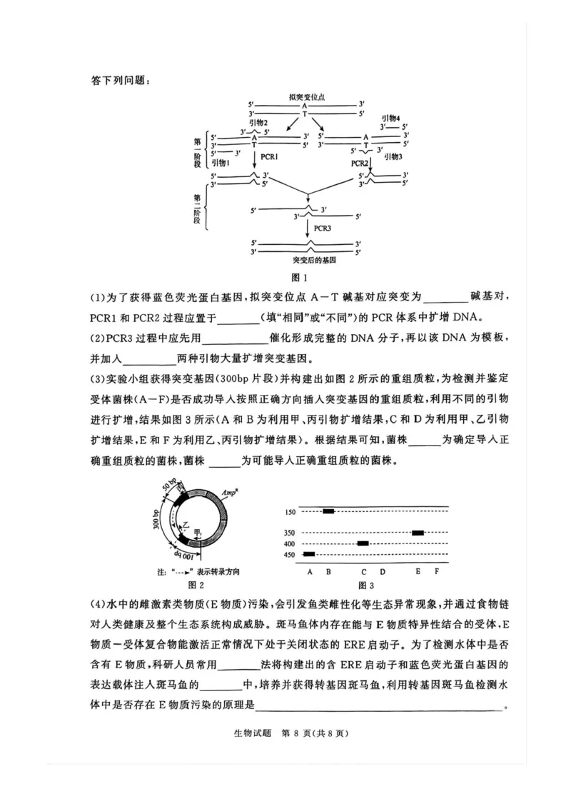 2025届河南省青桐鸣高三4月大联考生物试题+答案_2025年4月_2504172025届河南省青桐鸣高三4月大联考（全科）