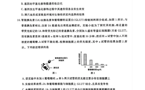 2025届河南省青桐鸣高三4月大联考生物试题+答案_2025年4月_2504172025届河南省青桐鸣高三4月大联考（全科）