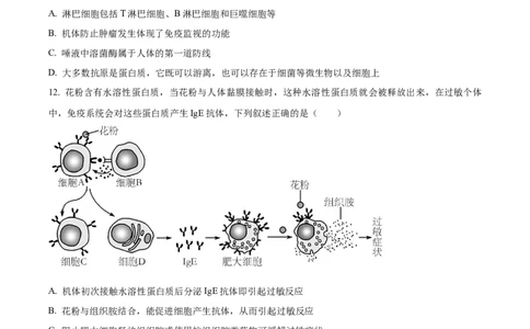 辽宁省辽东南协作校2024届高三上学期12月月考生物_2024届辽宁省辽东南协作校高三上学期12月月考