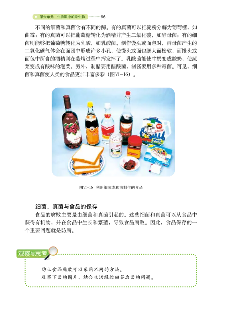 鲁教版7年级生物下册高清教材_4-教培资料-26年最新资料-同步更新_初中高中教资_03科三专项（进去保存报考的学科即可）_02科三专项（笔记真题思维导图教学设计版本二）