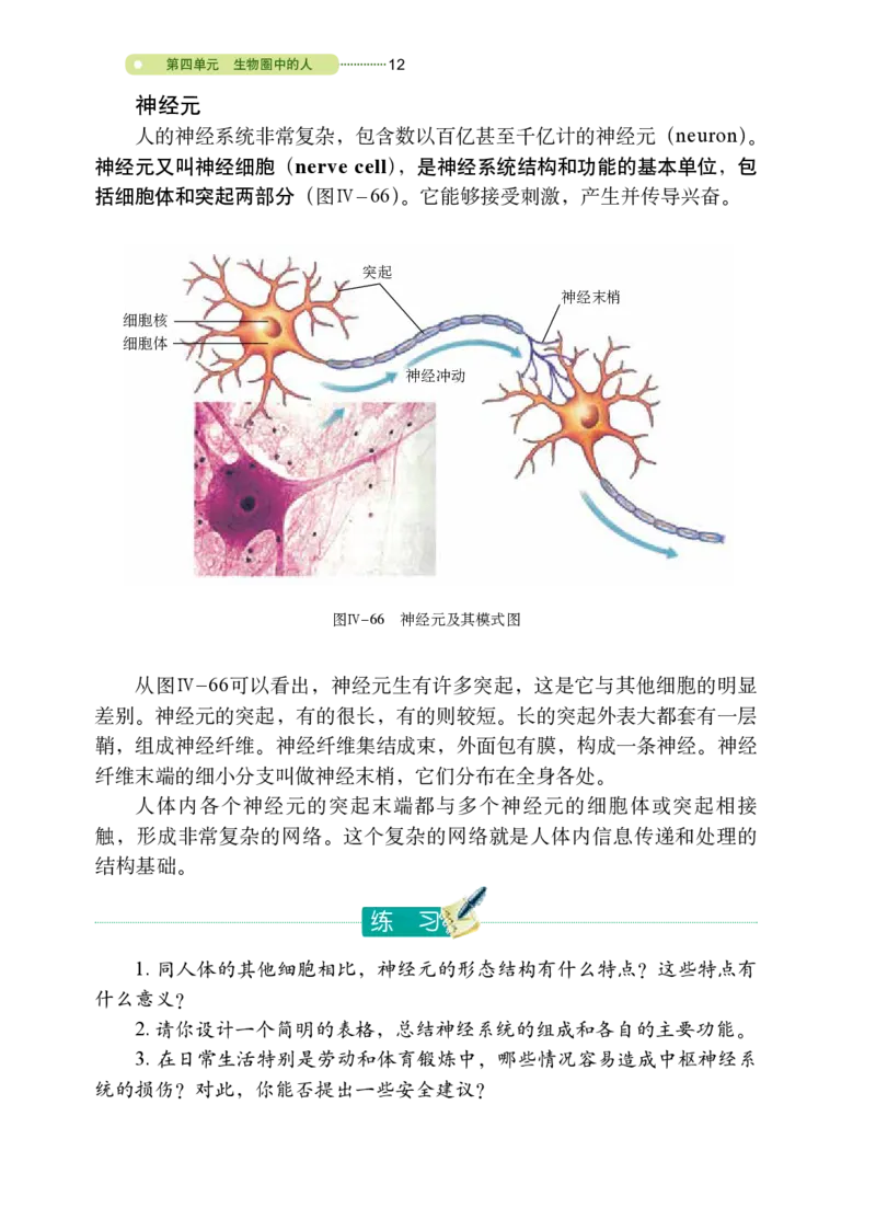 鲁教版7年级生物下册高清教材_4-教培资料-26年最新资料-同步更新_初中高中教资_03科三专项（进去保存报考的学科即可）_02科三专项（笔记真题思维导图教学设计版本二）