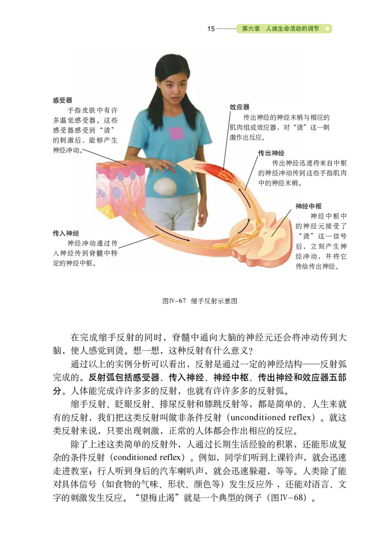 鲁教版7年级生物下册高清教材_4-教培资料-26年最新资料-同步更新_初中高中教资_03科三专项（进去保存报考的学科即可）_02科三专项（笔记真题思维导图教学设计版本二）