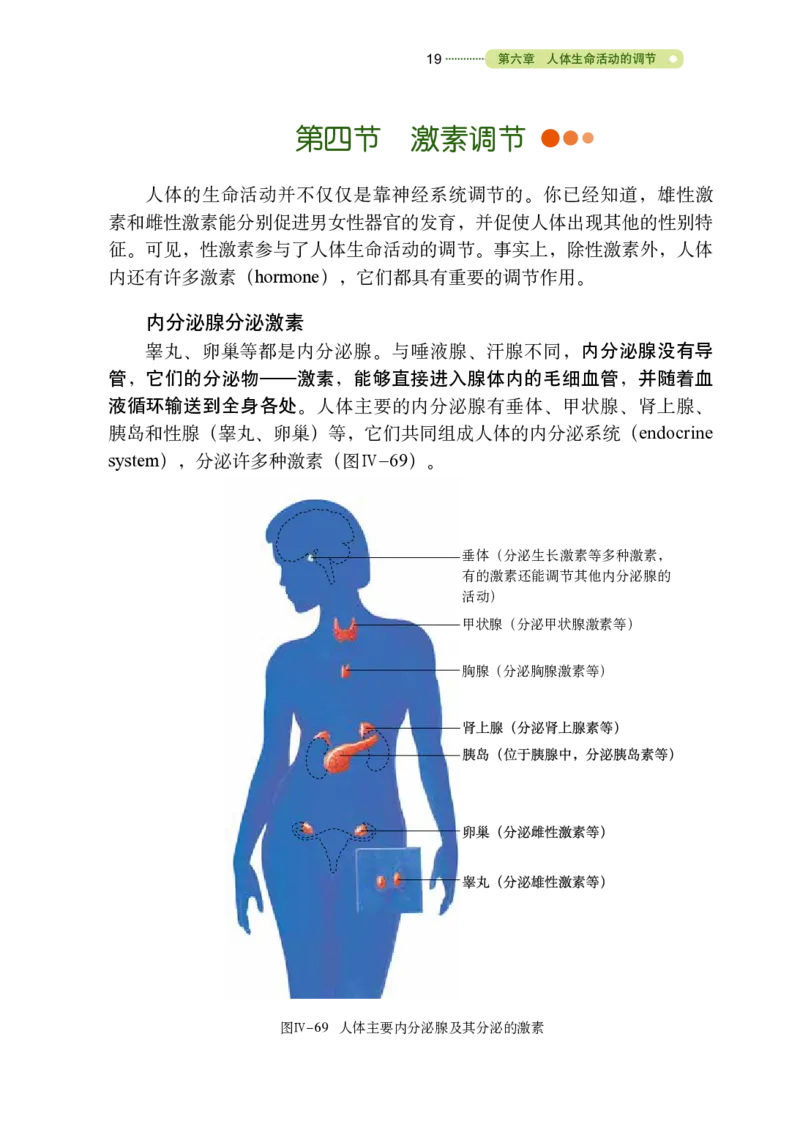 鲁教版7年级生物下册高清教材_4-教培资料-26年最新资料-同步更新_初中高中教资_03科三专项（进去保存报考的学科即可）_02科三专项（笔记真题思维导图教学设计版本二）