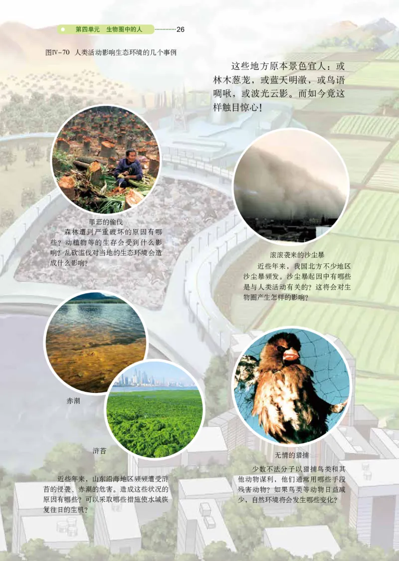 鲁教版7年级生物下册高清教材_4-教培资料-26年最新资料-同步更新_初中高中教资_03科三专项（进去保存报考的学科即可）_02科三专项（笔记真题思维导图教学设计版本二）