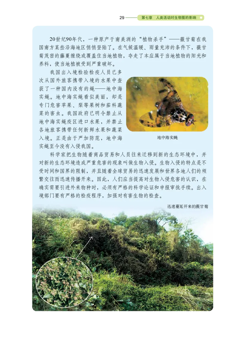 鲁教版7年级生物下册高清教材_4-教培资料-26年最新资料-同步更新_初中高中教资_03科三专项（进去保存报考的学科即可）_02科三专项（笔记真题思维导图教学设计版本二）