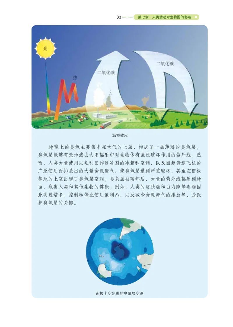 鲁教版7年级生物下册高清教材_4-教培资料-26年最新资料-同步更新_初中高中教资_03科三专项（进去保存报考的学科即可）_02科三专项（笔记真题思维导图教学设计版本二）