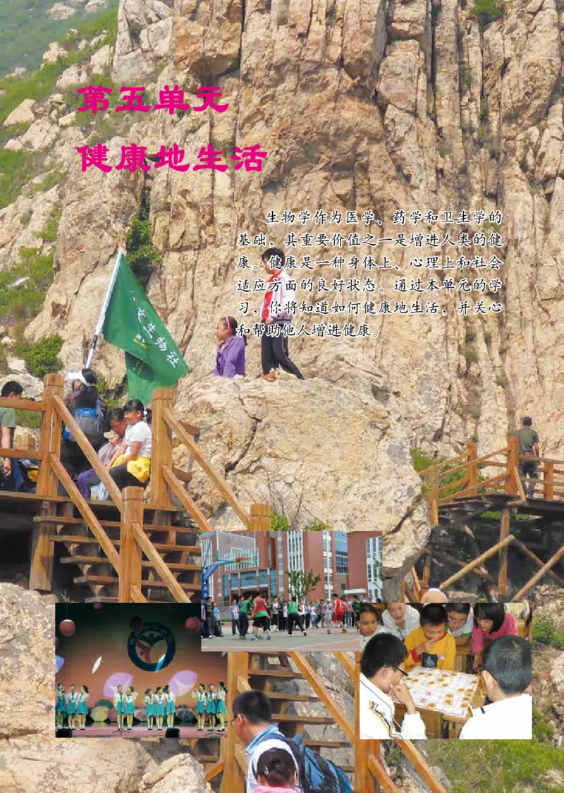 鲁教版7年级生物下册高清教材_4-教培资料-26年最新资料-同步更新_初中高中教资_03科三专项（进去保存报考的学科即可）_02科三专项（笔记真题思维导图教学设计版本二）