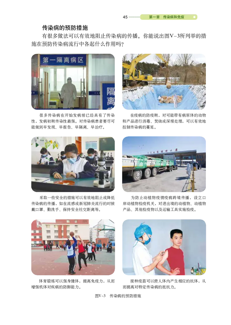 鲁教版7年级生物下册高清教材_4-教培资料-26年最新资料-同步更新_初中高中教资_03科三专项（进去保存报考的学科即可）_02科三专项（笔记真题思维导图教学设计版本二）