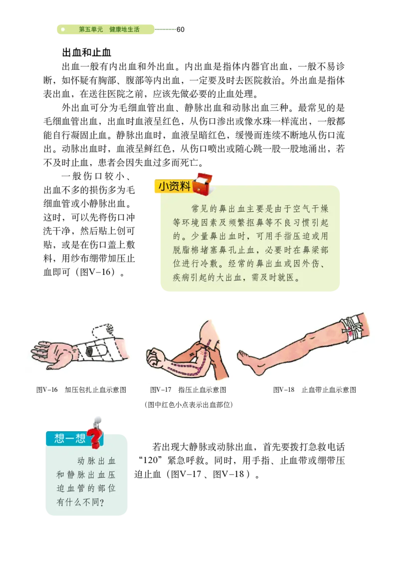 鲁教版7年级生物下册高清教材_4-教培资料-26年最新资料-同步更新_初中高中教资_03科三专项（进去保存报考的学科即可）_02科三专项（笔记真题思维导图教学设计版本二）