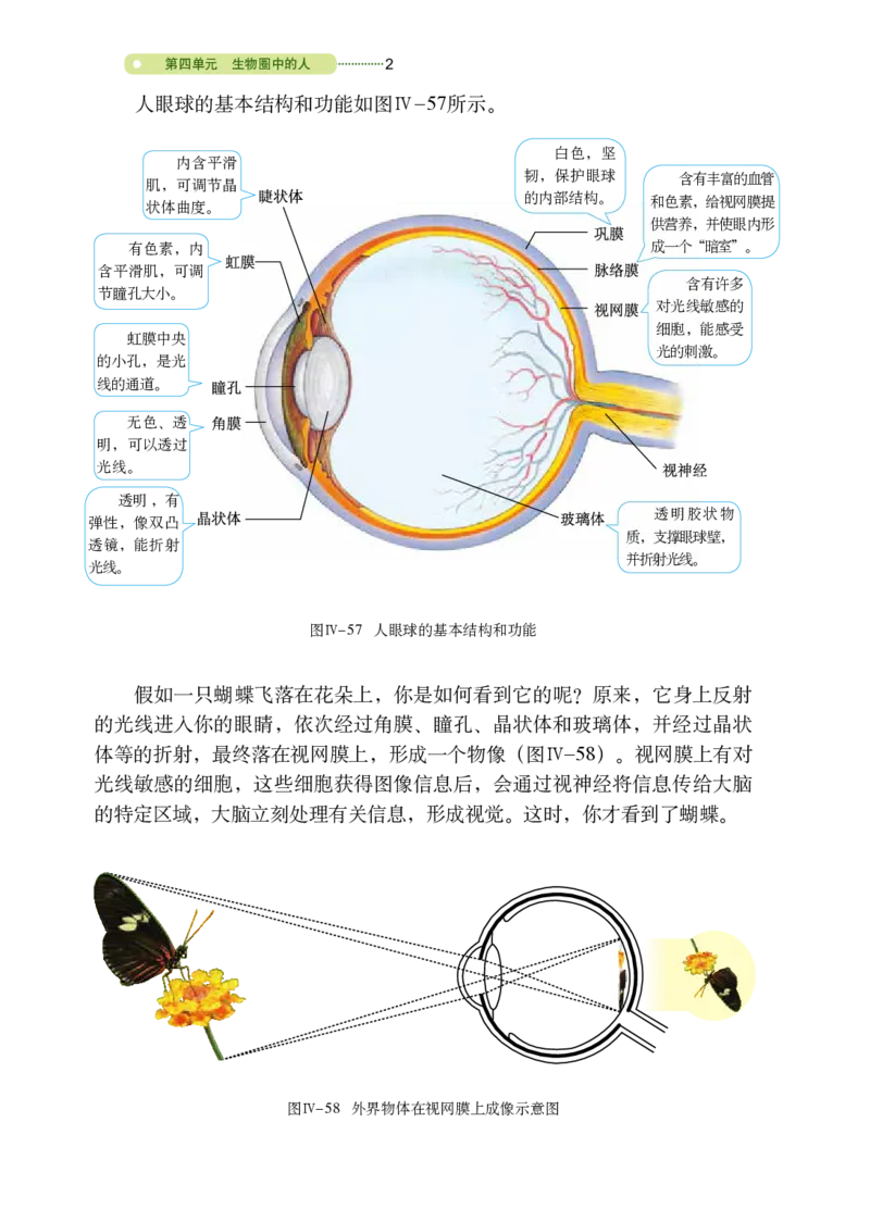 鲁教版7年级生物下册高清教材_4-教培资料-26年最新资料-同步更新_初中高中教资_03科三专项（进去保存报考的学科即可）_02科三专项（笔记真题思维导图教学设计版本二）