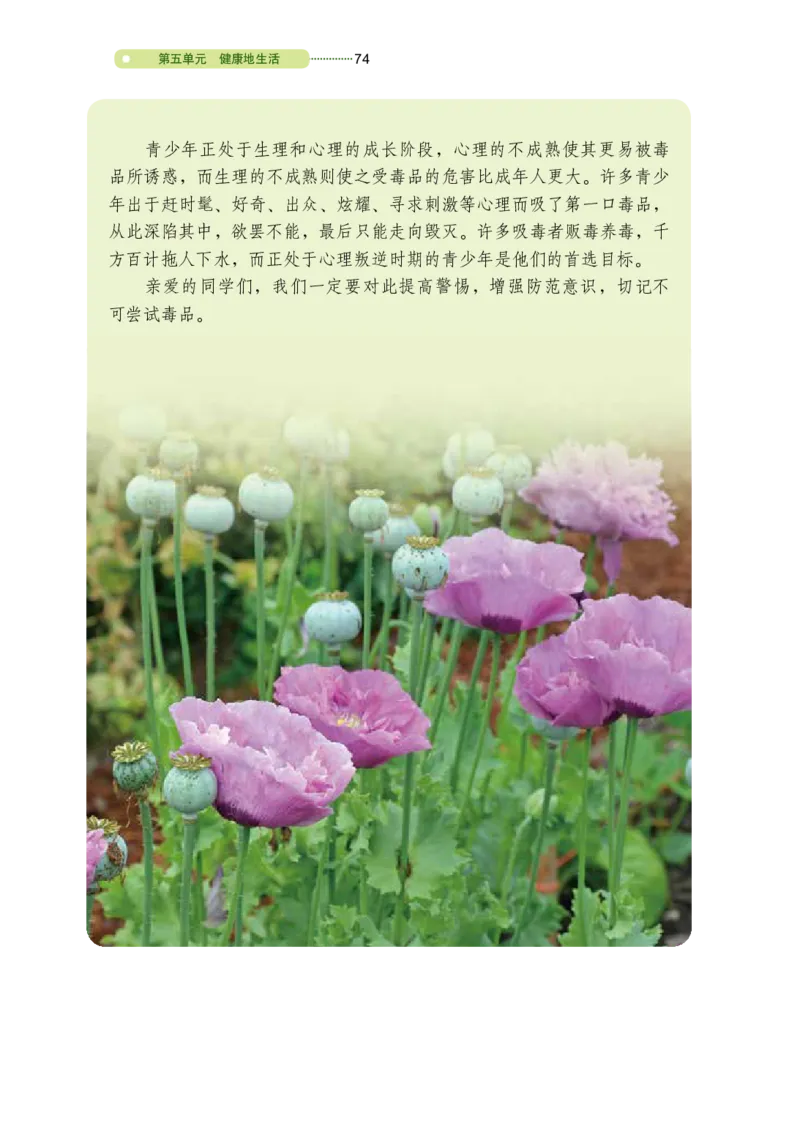 鲁教版7年级生物下册高清教材_4-教培资料-26年最新资料-同步更新_初中高中教资_03科三专项（进去保存报考的学科即可）_02科三专项（笔记真题思维导图教学设计版本二）