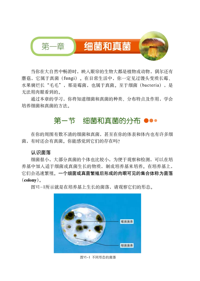 鲁教版7年级生物下册高清教材_4-教培资料-26年最新资料-同步更新_初中高中教资_03科三专项（进去保存报考的学科即可）_02科三专项（笔记真题思维导图教学设计版本二）