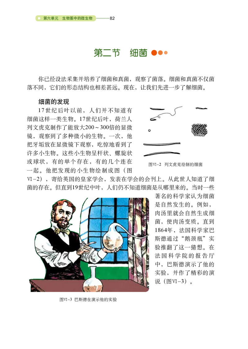 鲁教版7年级生物下册高清教材_4-教培资料-26年最新资料-同步更新_初中高中教资_03科三专项（进去保存报考的学科即可）_02科三专项（笔记真题思维导图教学设计版本二）