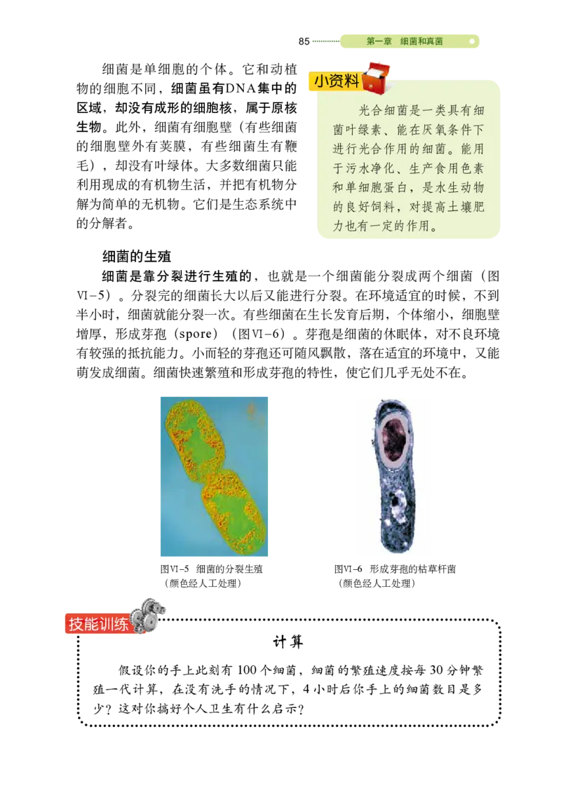 鲁教版7年级生物下册高清教材_4-教培资料-26年最新资料-同步更新_初中高中教资_03科三专项（进去保存报考的学科即可）_02科三专项（笔记真题思维导图教学设计版本二）