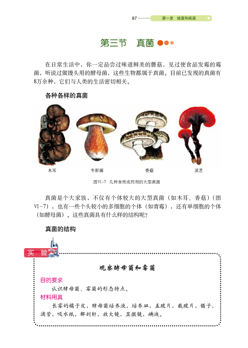 鲁教版7年级生物下册高清教材_4-教培资料-26年最新资料-同步更新_初中高中教资_03科三专项（进去保存报考的学科即可）_02科三专项（笔记真题思维导图教学设计版本二）