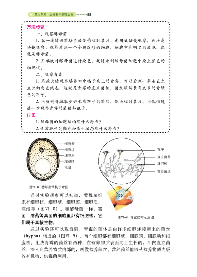鲁教版7年级生物下册高清教材_4-教培资料-26年最新资料-同步更新_初中高中教资_03科三专项（进去保存报考的学科即可）_02科三专项（笔记真题思维导图教学设计版本二）