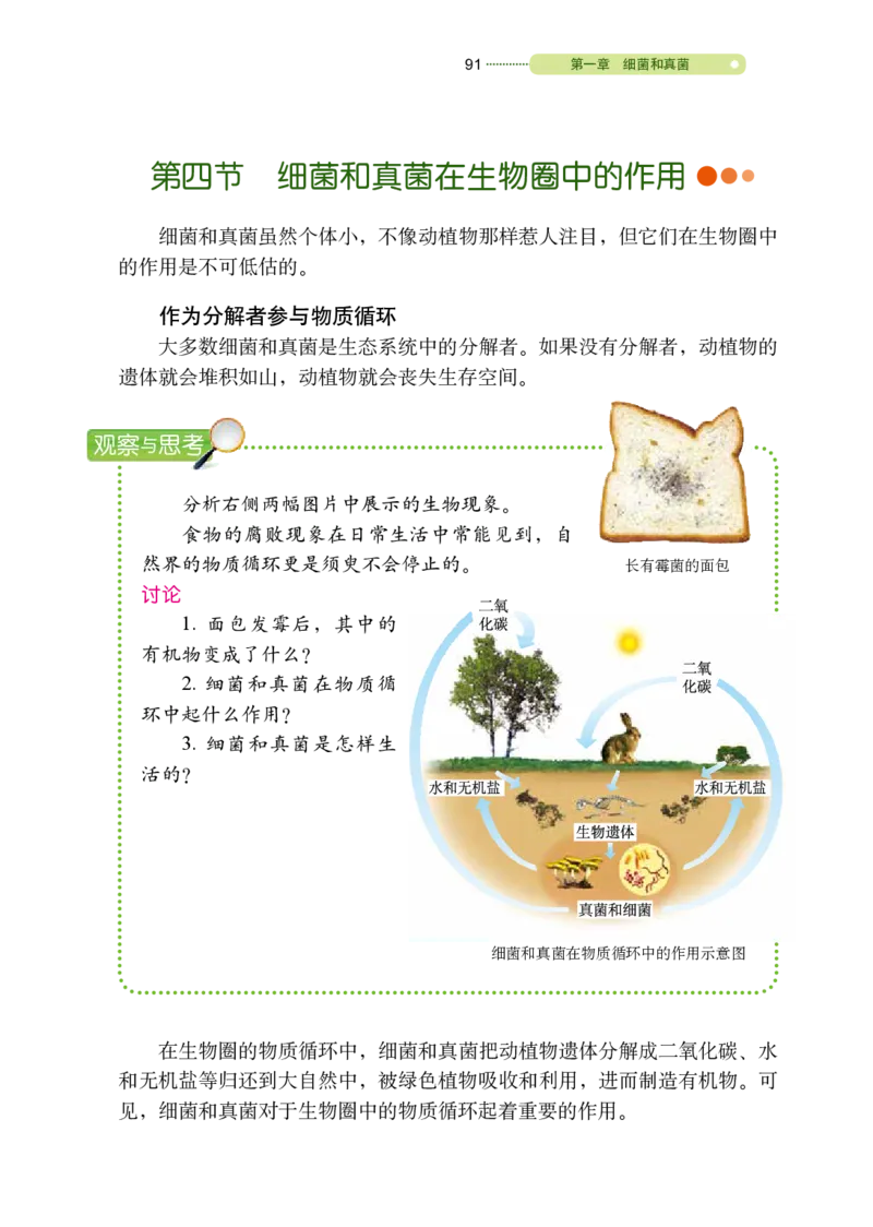 鲁教版7年级生物下册高清教材_4-教培资料-26年最新资料-同步更新_初中高中教资_03科三专项（进去保存报考的学科即可）_02科三专项（笔记真题思维导图教学设计版本二）