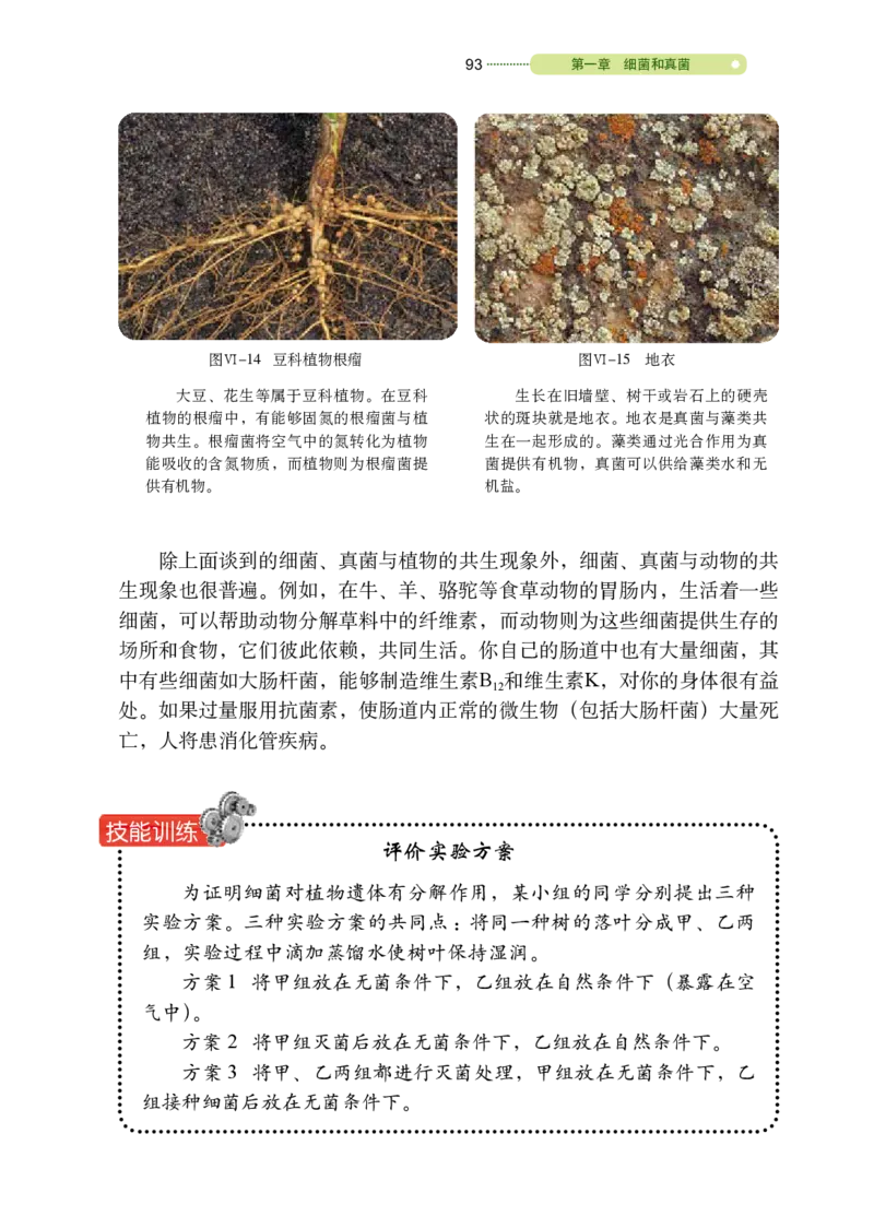 鲁教版7年级生物下册高清教材_4-教培资料-26年最新资料-同步更新_初中高中教资_03科三专项（进去保存报考的学科即可）_02科三专项（笔记真题思维导图教学设计版本二）