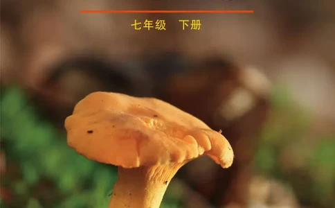 鲁教版7年级生物下册高清教材_4-教培资料-26年最新资料-同步更新_初中高中教资_03科三专项（进去保存报考的学科即可）_02科三专项（笔记真题思维导图教学设计版本二）