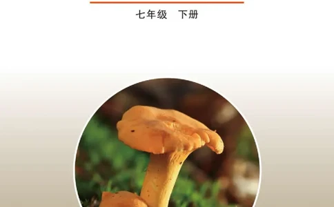 鲁教版7年级生物下册高清教材_4-教培资料-26年最新资料-同步更新_初中高中教资_03科三专项（进去保存报考的学科即可）_02科三专项（笔记真题思维导图教学设计版本二）