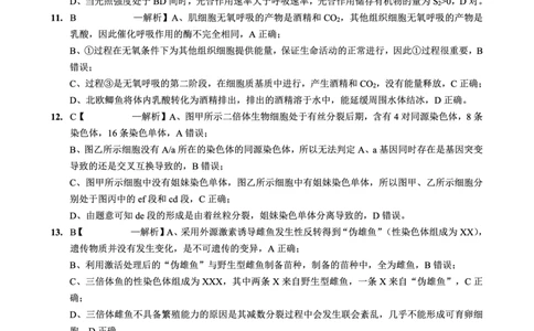 2025-2026学年度（上）高2026届9月月考生物答案_2025年9月_250920重庆实验外国语学校2025-2026学年度（上）高2026届9月月考（全科）_生物