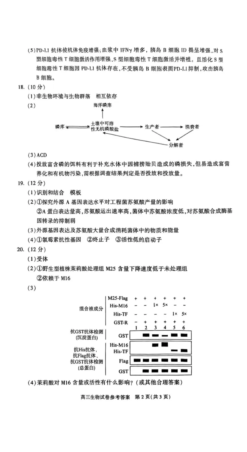 北京市朝阳区2025届高三年级第二学期3月质量检测一生物答案_2025年3月_250330北京市朝阳区2025届高三年级第二学期3月质量检测一（一模）（全科）