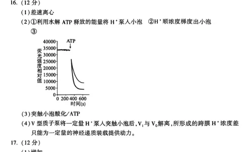 北京市朝阳区2025届高三年级第二学期3月质量检测一生物答案_2025年3月_250330北京市朝阳区2025届高三年级第二学期3月质量检测一（一模）（全科）