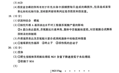 北京市朝阳区2025届高三年级第二学期3月质量检测一生物答案_2025年3月_250330北京市朝阳区2025届高三年级第二学期3月质量检测一（一模）（全科）