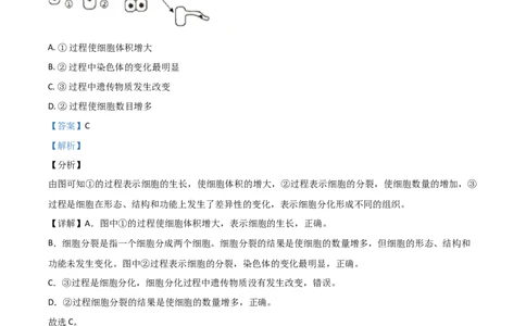 精品解析：海南省2020年中考生物试题（解析版）_中考真题_8.生物中考真题2015-2024年_2020生物真题74份_2020年中考真题精品解析生物（海南卷）精编word版