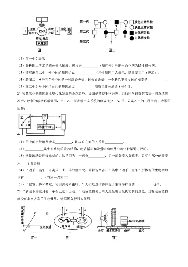精品解析：山东省菏泽市2020年中考生物试题（原卷版）_中考真题_8.生物中考真题2015-2024年_2020生物真题74份_2020年中考真题精品解析生物（山东菏泽卷）精编word版