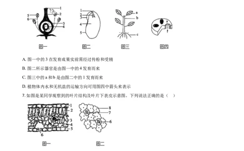 精品解析：山东省菏泽市2020年中考生物试题（原卷版）_中考真题_8.生物中考真题2015-2024年_2020生物真题74份_2020年中考真题精品解析生物（山东菏泽卷）精编word版
