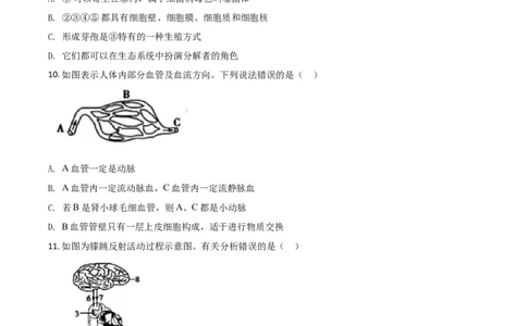 精品解析：山东省菏泽市2020年中考生物试题（原卷版）_中考真题_8.生物中考真题2015-2024年_2020生物真题74份_2020年中考真题精品解析生物（山东菏泽卷）精编word版