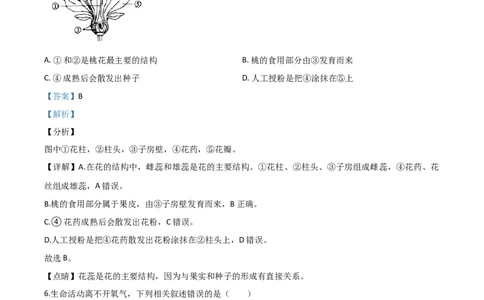 精品解析：广东省2020年中考生物试题（解析版）_中考真题_8.生物中考真题2015-2024年_2020生物真题74份_2020年中考真题解析生物(广东卷)精编word版