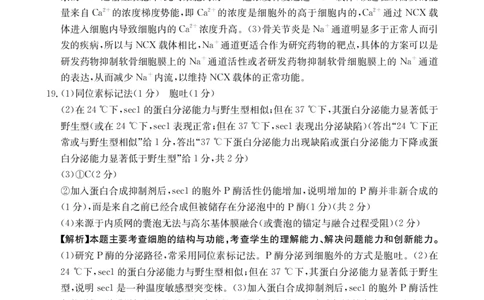 2025年9月29日金太联考2高三生物答案_2025年10月_251012山西陕西金太阳2025年9月高三联考（25-33C）（全科）_2025年9月29日高三金太联考2题卡答案_答案