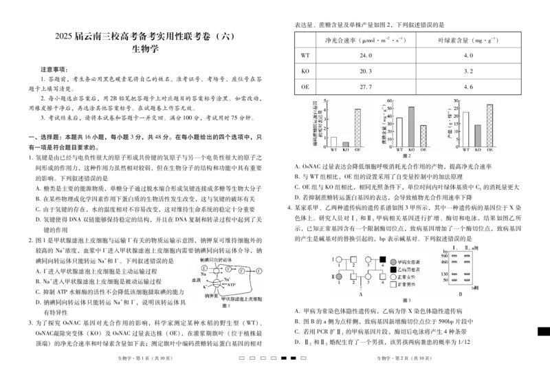 2025届云南三校高考备考实用性联考卷（六）生物-试卷_2025年2月_250220云南省三校2025届高三下学期2月高考备考实用性联考卷（六）（全科）