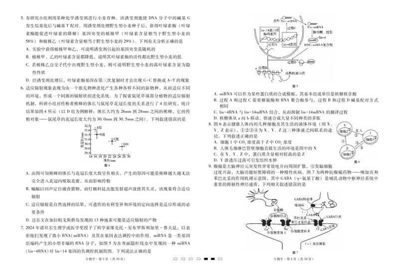 2025届云南三校高考备考实用性联考卷（六）生物-试卷_2025年2月_250220云南省三校2025届高三下学期2月高考备考实用性联考卷（六）（全科）