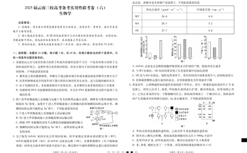2025届云南三校高考备考实用性联考卷（六）生物-试卷_2025年2月_250220云南省三校2025届高三下学期2月高考备考实用性联考卷（六）（全科）