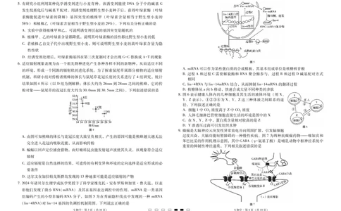 2025届云南三校高考备考实用性联考卷（六）生物-试卷_2025年2月_250220云南省三校2025届高三下学期2月高考备考实用性联考卷（六）（全科）