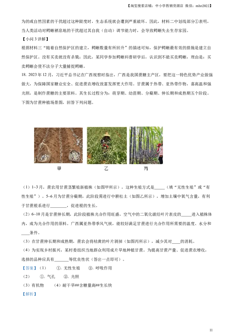 精品解析：2024年广西中考生物真题（解析版）_中考真题_8.生物中考真题2015-2024年_2024年中考生物真题_精品解析：2024年广西中考生物试题